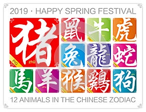 Vector Chinese zodiac signs with the year of the pig in 2019
