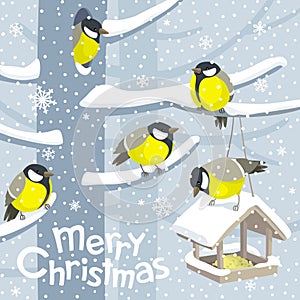 Vector Christmas birds and birdfeeder Christmas image