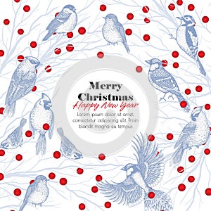 Vector Christmas card with winter birds