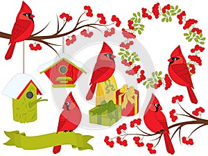 Vector Christmas and New Year Set with Cardinals and Winter Elements