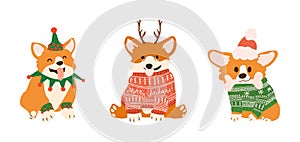 Vector Christmas postcard with cute corgi