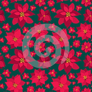 Vector Christmas seamless pattern red Poinsettias