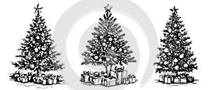 Vector Christmas tree symbol for Christmas winter. Contour drawing isolated on a white background. Christmas tree and