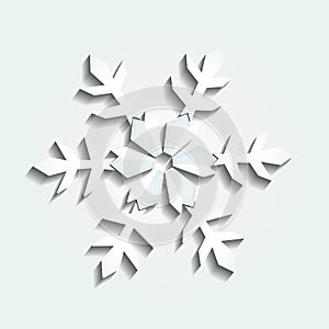 Vector Christmas white snowflake flower ornament icon background