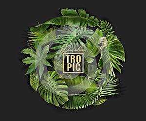 Vector circle banner with green tropical leaves