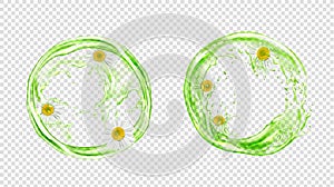 Vector circle splash of green tea with chamomile