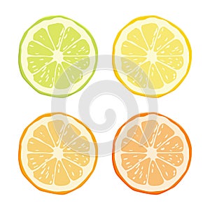 Vector Citrus Fruit Icon Set - Yellow Lemon, Green Lime, Orange Mandarin, Grapefruit Icon Set. Round Slice Design