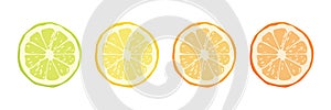 Vector Citrus Fruit Icon Set - Yellow Lemon, Green Lime, Orange Mandarin, Grapefruit. Round Slice Design Element