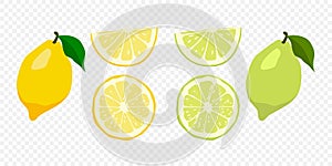 Vector Citrus Fruit Icon Set - Yellow Lemon and Green Lime. Whole and Slice Design Element Isolated on White Background