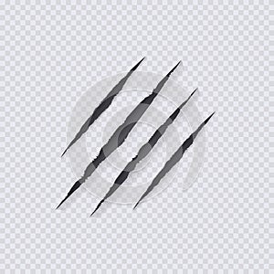 Vector Claws Scratches Illustration,Isolated on Transparent Background, Claws Scratching.