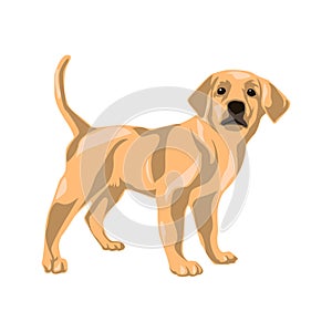 Vector clip art animal illustration. Dog vector illustration