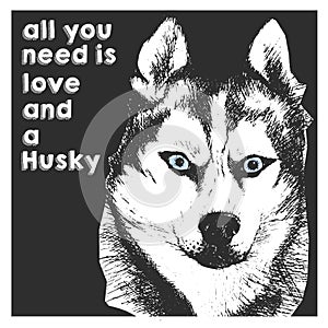 Vector close up portrait of siberian husky, on black square background. All you need is love and a dog.