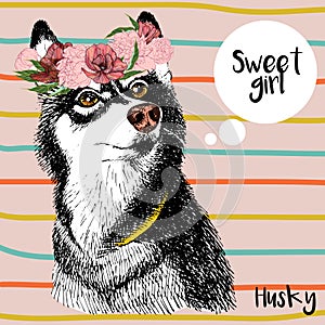 Vector close up portrait of siberian husky girl, wearing the flower wreath. Hand drawn domestic pet dog illustration.