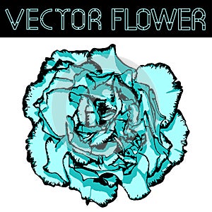 Vector clove flower with cyan petals and black edging