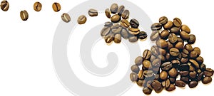 Vector coffee beans