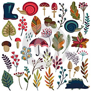 Vector collection of autumn nature elements