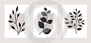 Collection of botanical  art backgrounds