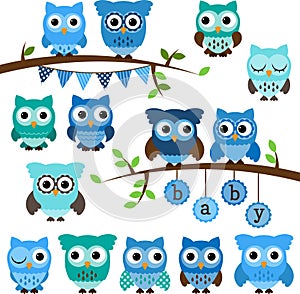 Vector Collection of Boy Baby Shower Themed Owls