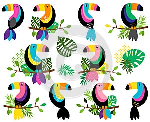 Vector Collection of Bright and Colorful Toucans and Tropical Leaves