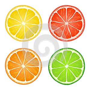 Vector collection of citrus slices on white background