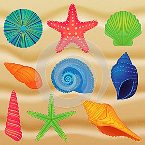 Vector Collection of Colorful Shells