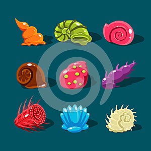 Vector Collection of Colorful Shells