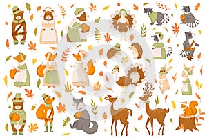 Vector collection with cute autumn animals bears, foxes, turkeys, racoons, rabbits, hedgehogs, leaves and branches isolated on