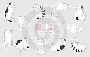 Vector collection of cute cartoon hand drawn cats stickers on light grey background