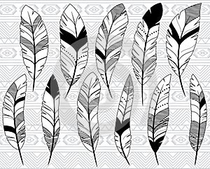 Vector Collection of Doodle Stylized Feathers photo