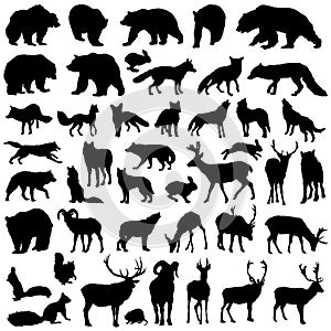 Vector collection forest wild animals silhouette