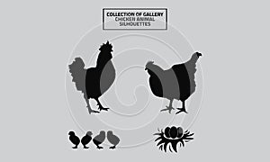 Vector Collection of gallery chicken animal silhouettes