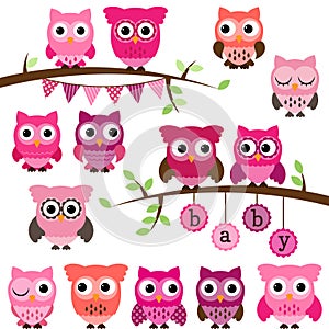 Vector Collection of Girl Baby Shower Themed Owls