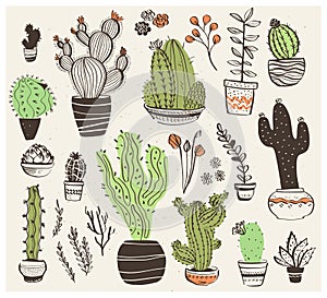 Vector collection of hand drawn different cactus shapes isolated on white background.