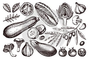 Vector collection of hand sketched vegetables. Vintage veggies and spices illustrations set. Healthy food drawings for vegetarian