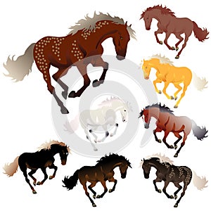 Vector collection horse colors