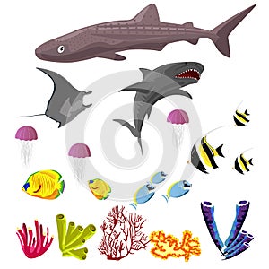 Vector collection of inhabitants and objects of sea fauna isolated on white background