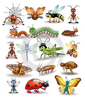 Vector collection of insects isolated on a white background