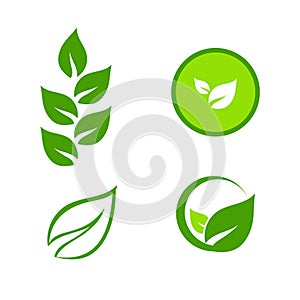 Vector collection leaves icon illustration design element vector