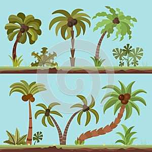 Vector collection of palm trees, cartooning flat style. Palm tree set in summer tropical colors. Green palms isolated on