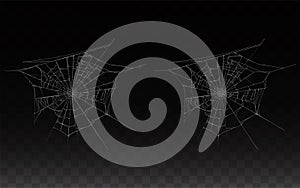 Vector collection of realistic cobweb, spider web