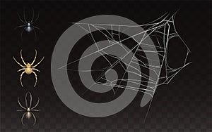 Vector collection of realistic web with spider