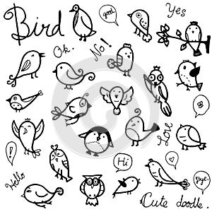 Vector collection set of cute birds drawing in black outline doodle on white background