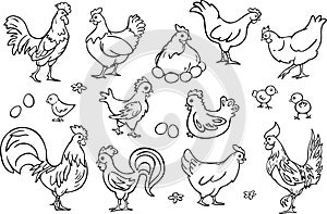 Vector collection set with roosters, hens, chicks and eggs