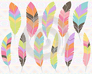 Vector Collection of Stylized Feathers