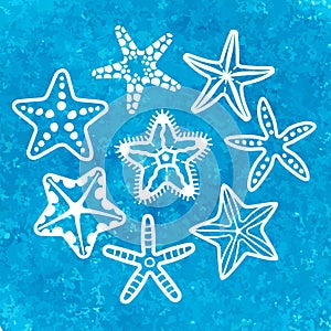 Vector collection of various sea starfish