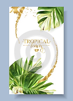 Vector color banner of alocasia tropic leaf photo