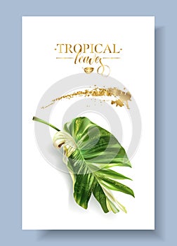 Vector color banner of alocasia tropic leaf photo
