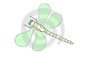 Vector color dragonfly. Simple design element, clip art for spring, summer, postcard, kids natural element design