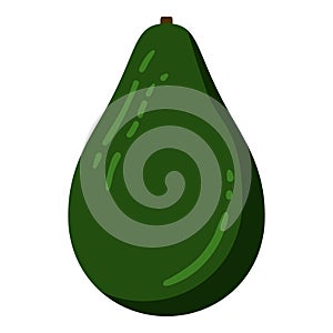 Vector Color Flat Design Icon Avocado