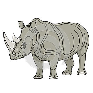Vector color illustration rhinoceros. Isolated object. EPS10